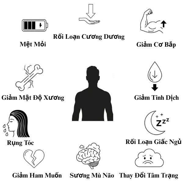 Infographic tổng hợp 10 dấu hiệu cảnh báo suy giảm Testosterone ở nam giới, bao gồm giảm ham muốn, mệt mỏi và thay đổi tâm trạng.